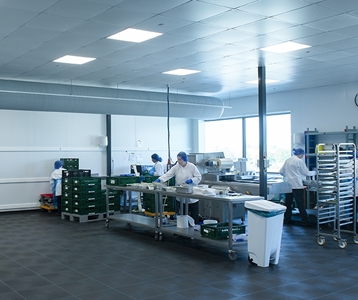 Inzicht in de processtromen