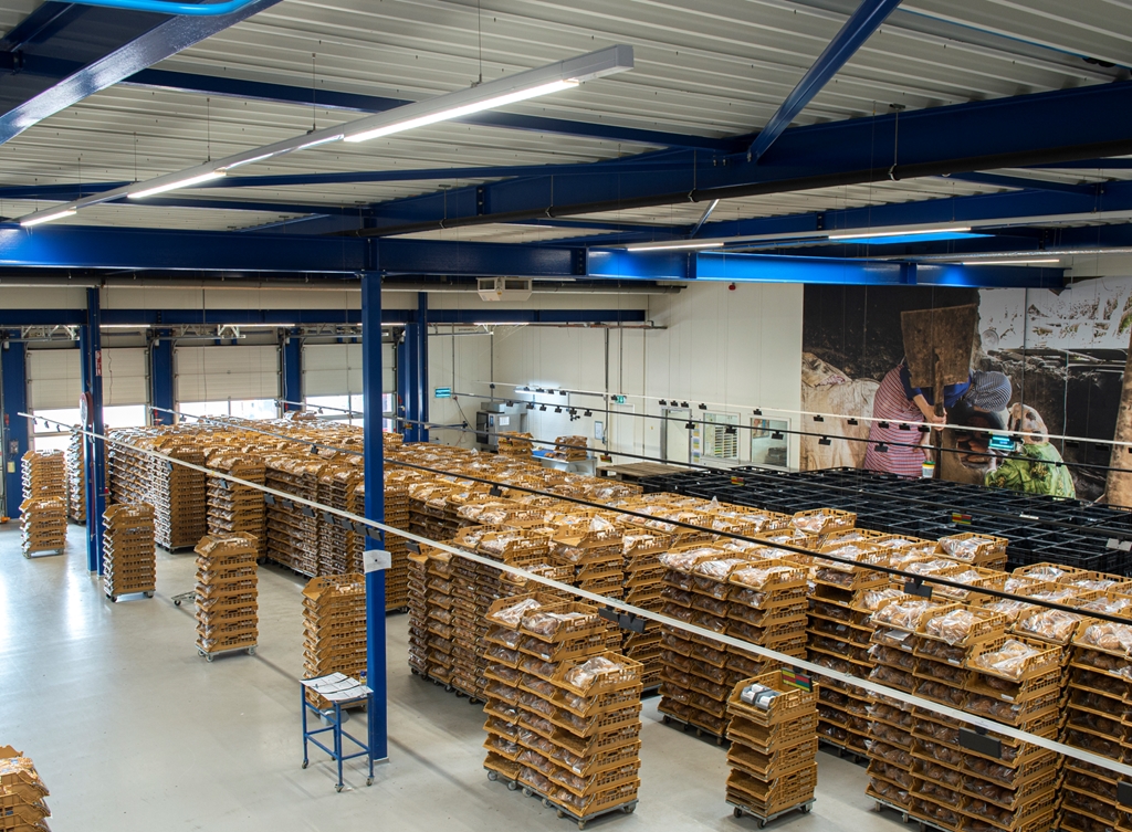 Vijfde ingrediënt voor optimaal klimaat