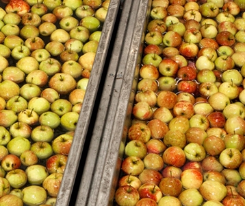 Gerelateerde projecten