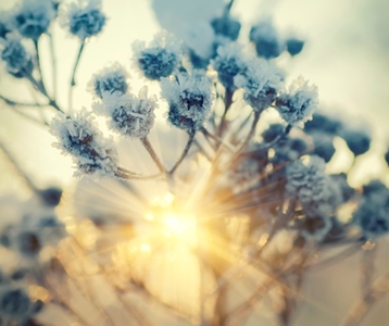 Duurzaam koelen en ventileren in de Food Industry