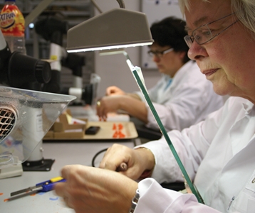 Gerelateerde projecten