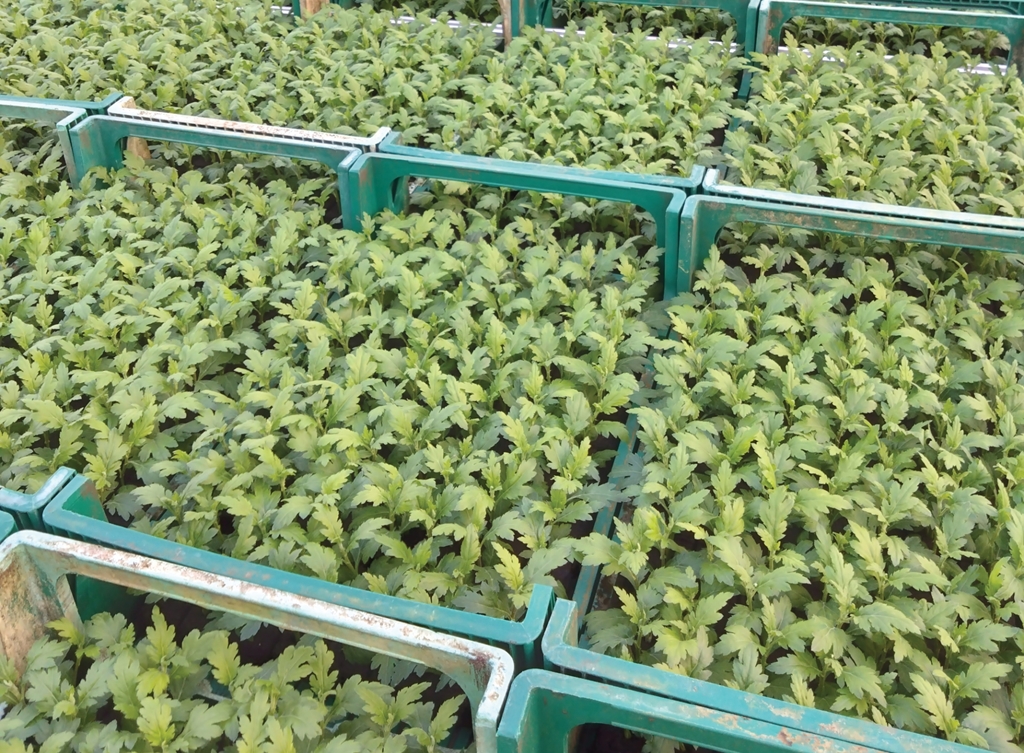 Komt u ook een kijkje nemen?