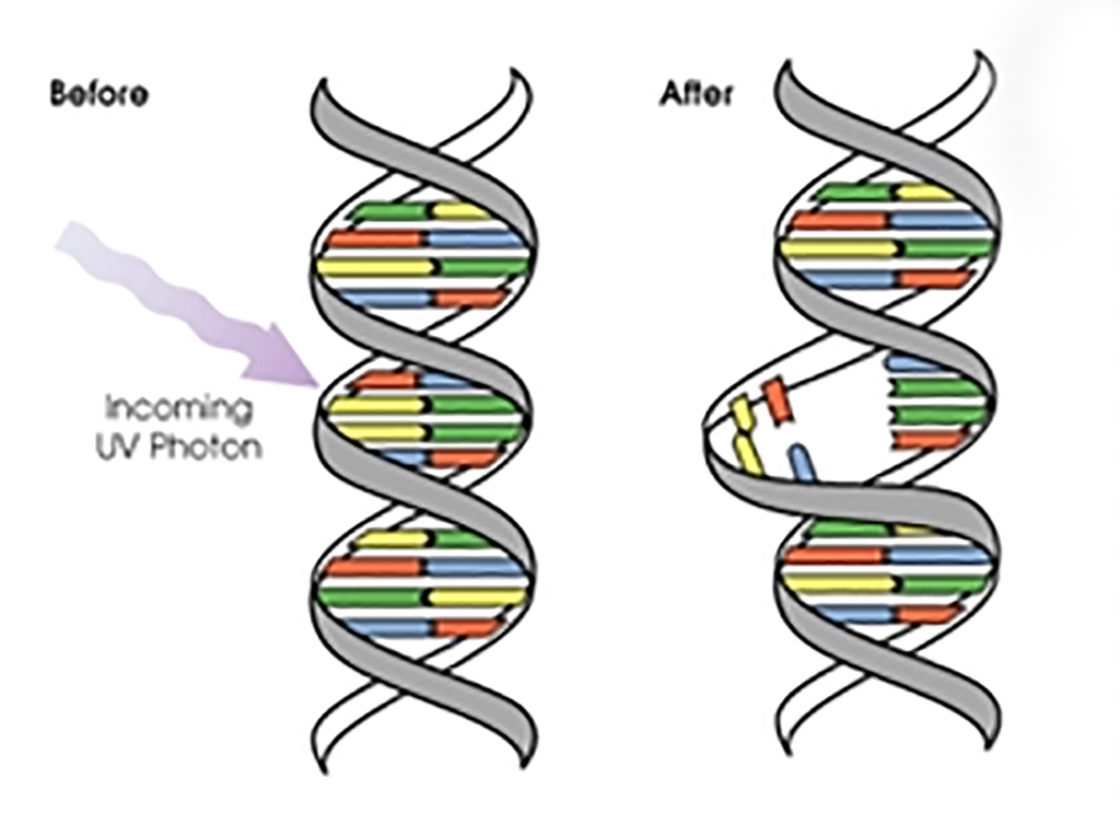 UVPE technologie voorkomt vermeerdering virussen