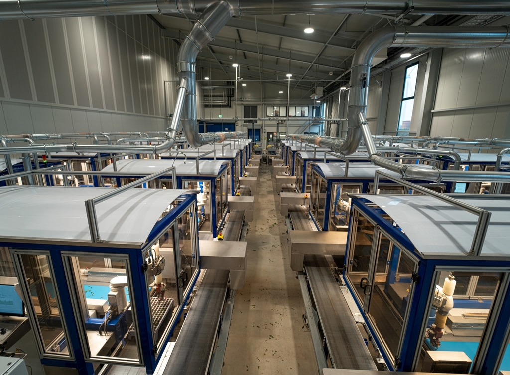 Dit is wat de wet hierover zegt