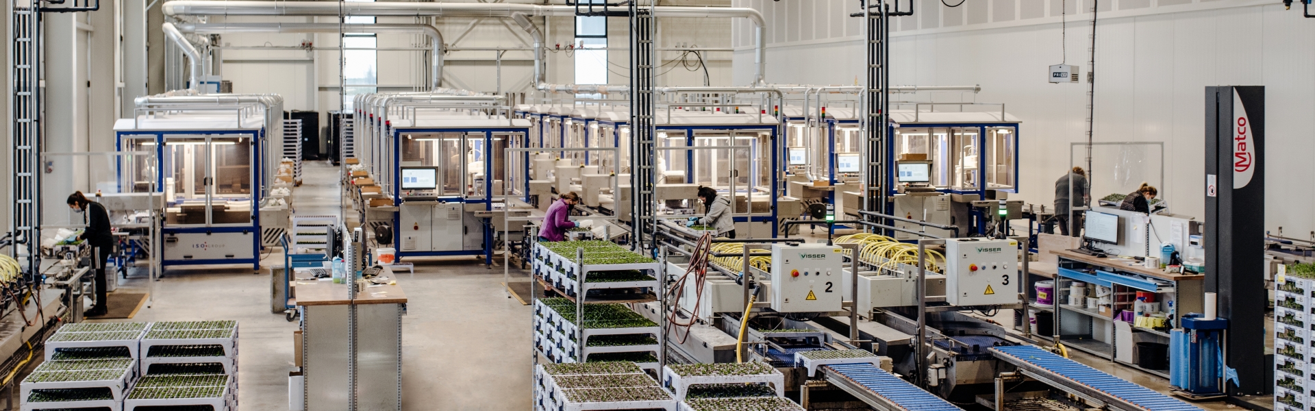 Projecten in andere branches