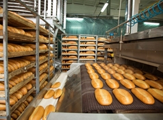 Food-industrie-1024x683