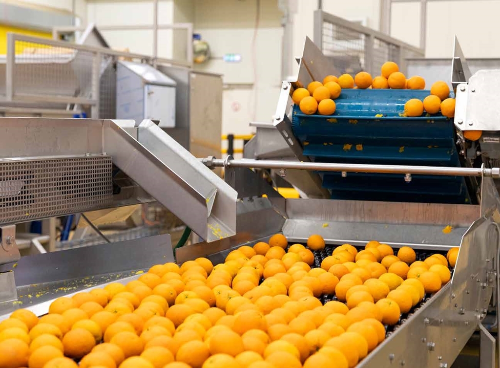 Cold pressed groente- en fruitsappen