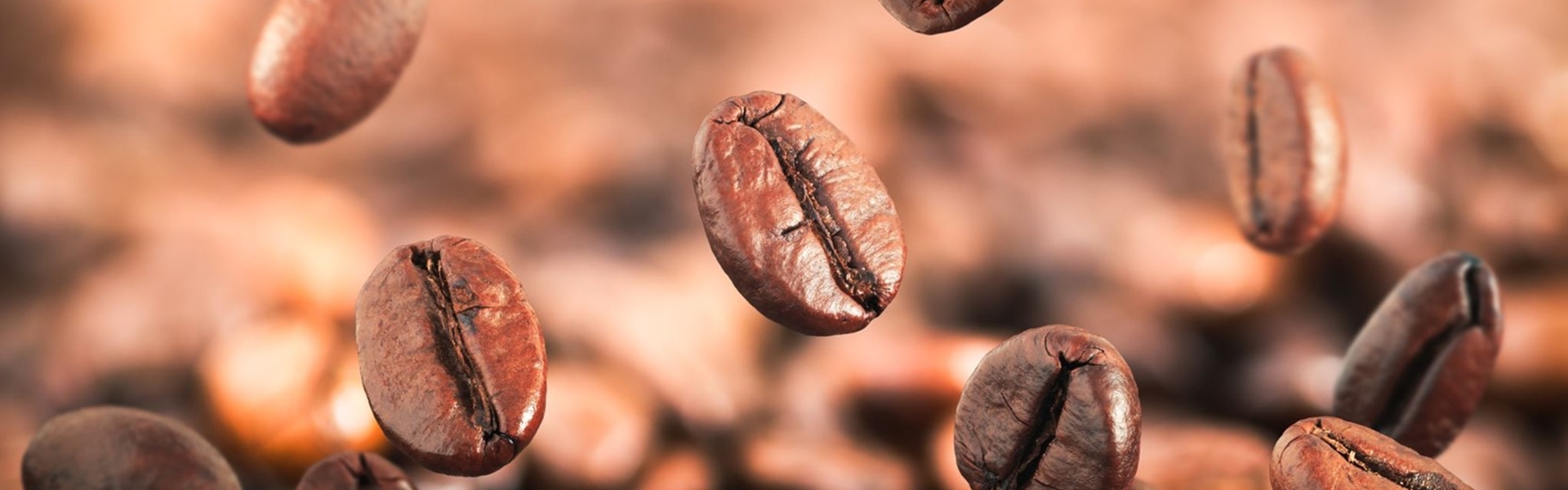 Casestudy koffiebranderij