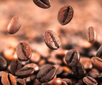 Gerelateerde projecten