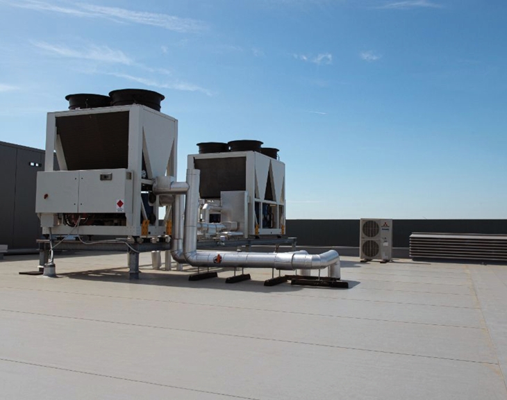 Peti Protein draagt bij aan ieders gezondheid