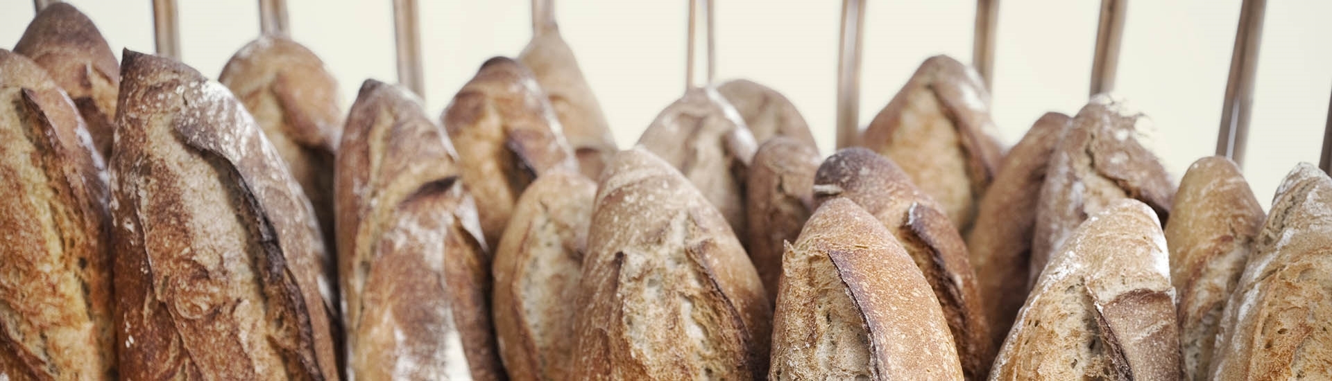 Vragen? Neem contact met ons op.