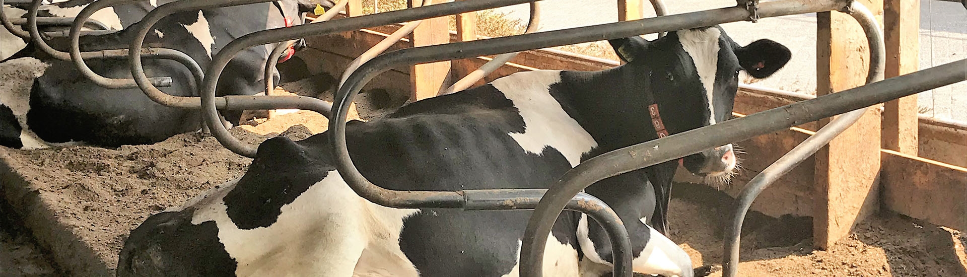 Vragen? Neem contact met ons op.