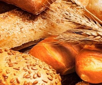 Gerelateerde projecten