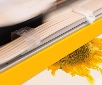 Voorbeelden van onze projecten in de grafische industrie