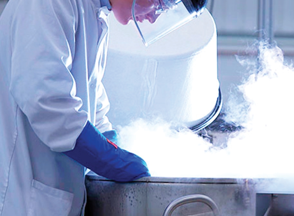 Warmte en waterdamp in de voedingsindustrie