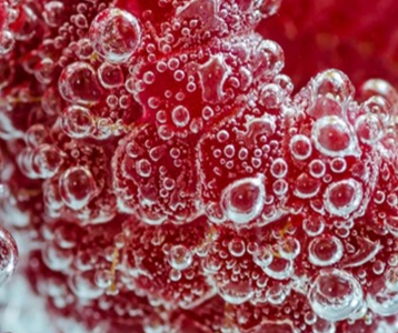 Geef vocht geen kans!