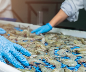 Klimaattechniek voor de voedingsmiddelenindustrie