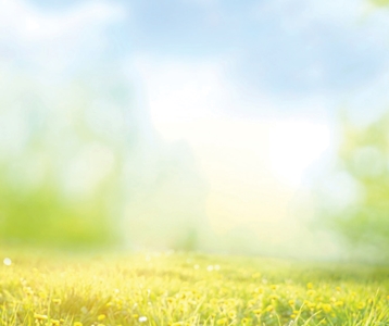 Eindelijk, het is zomer!