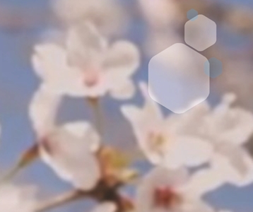 Dit zijn onze projecten