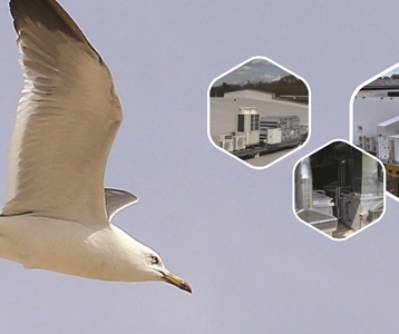 Dit zijn onze projecten Q2