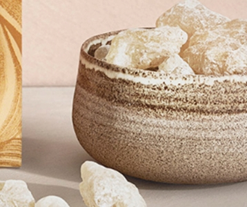 Work in progress - productiehal René Schönefeld