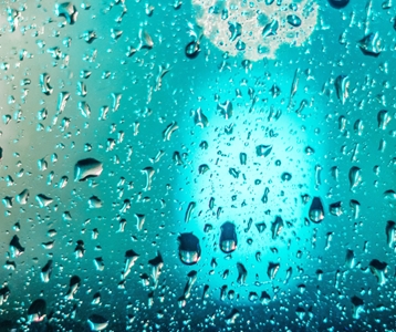 De juiste luchtvochtigheid