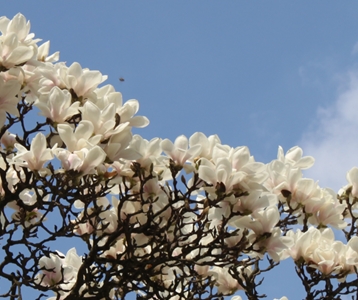 Mobiel geurfilter ActiveBox